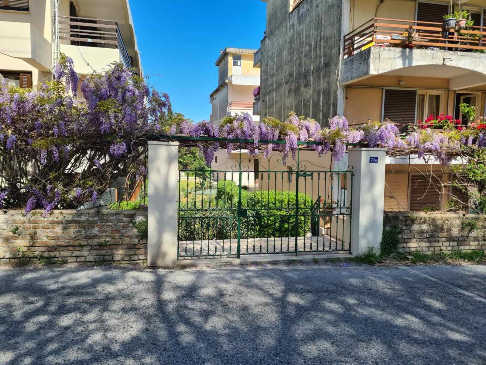 Mon Repo Palace Apartment Corfu  외부 사진